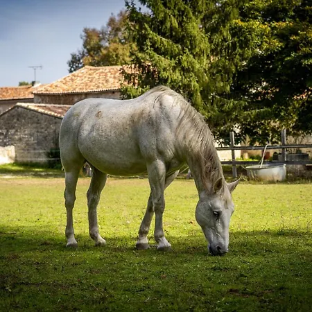 Un Logis En Angoumois