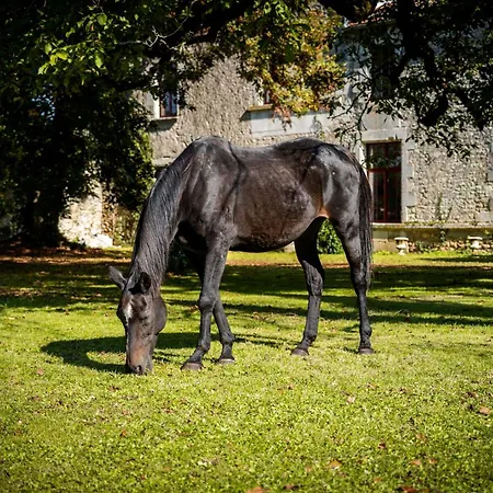 Bed & Breakfast Un Logis En Angoumois 3*