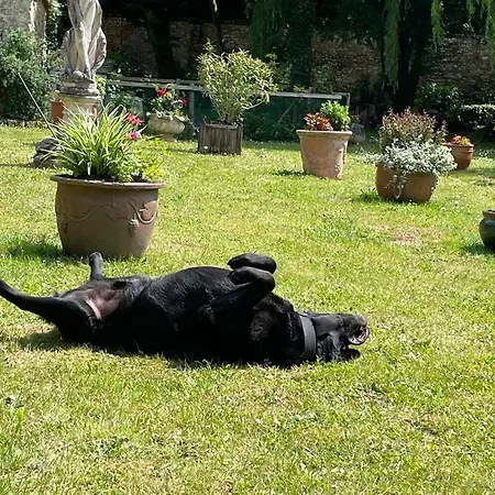 Un Logis En Angoumois Bed & Breakfast Rancogne