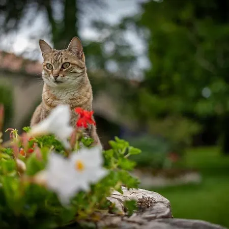 Un Logis En Angoumois 3*