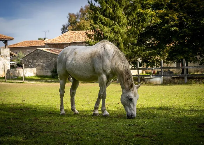 Un Logis En Angoumois