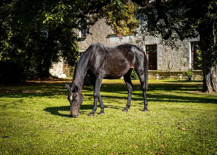 Bed and Breakfast Un Logis En Angoumois 3*