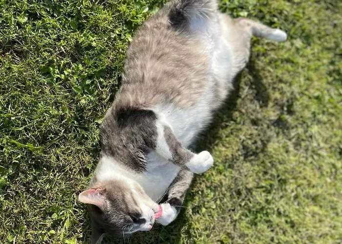 Bed and Breakfast Un Logis En Angoumois Rancogne