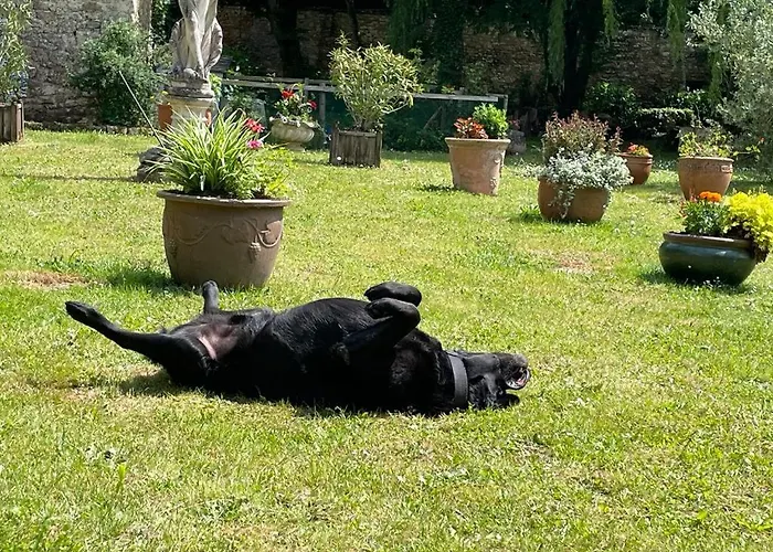 Un Logis En Angoumois Bed and Breakfast Rancogne