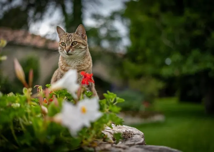 Un Logis En Angoumois 3*